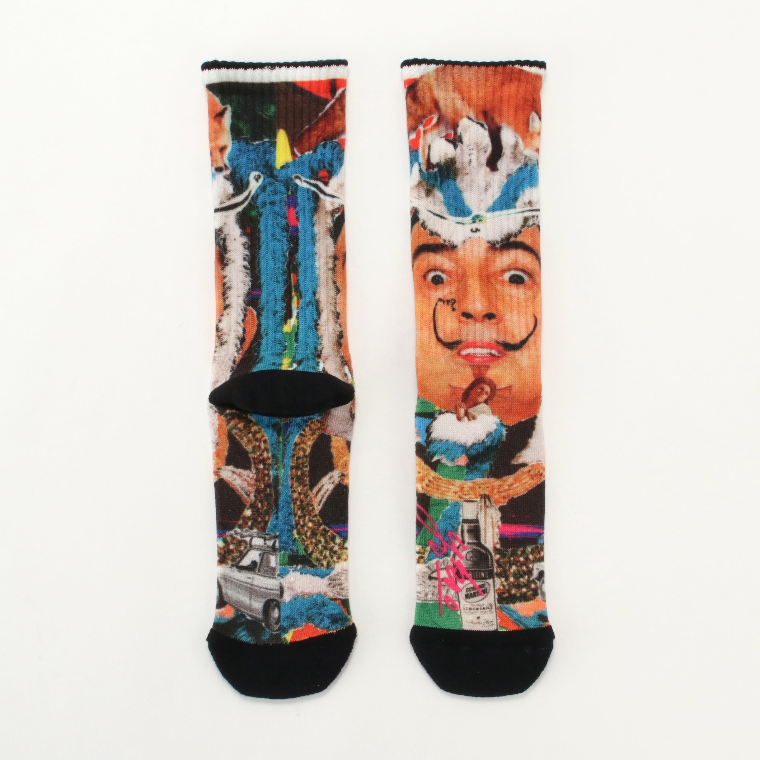 【美品】ユーキャン 節約生活スペシャリスト すべての製品 ｜【公式】ユーキャンの通販ショップ