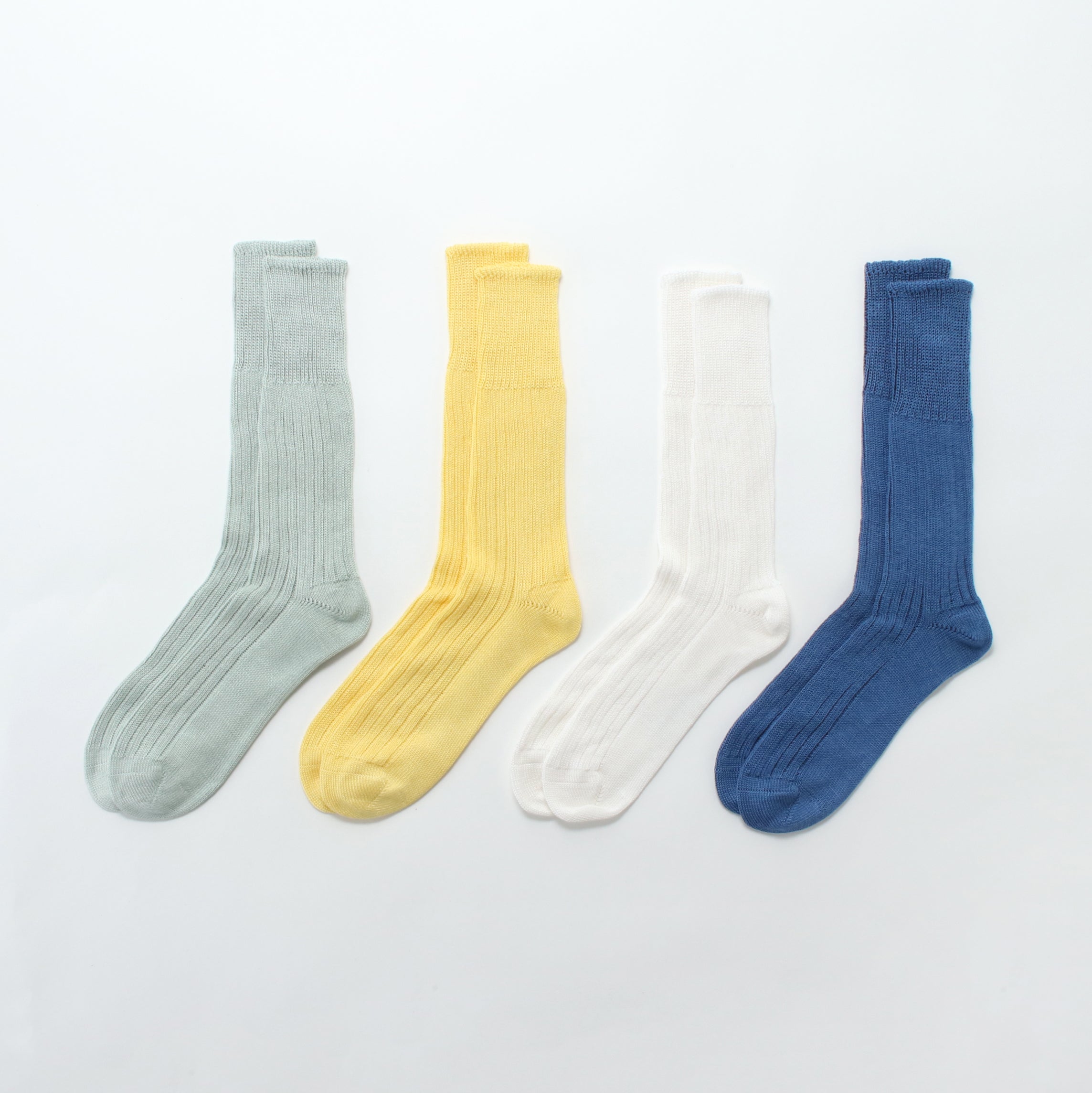 HOiSUM×Corgi Low gauge socks – HOiSUM MART