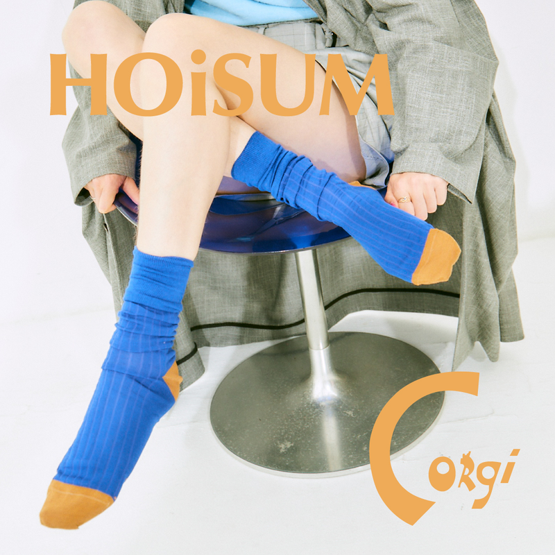 HOiSUM×Corgi