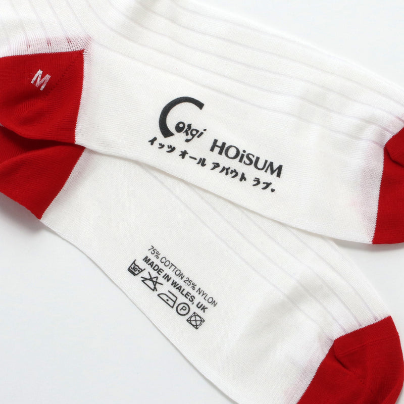 HOiSUM×Corgi High gauge socks