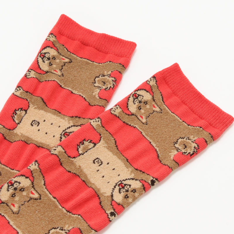 専用！ポカポカソックス／柴犬 専用！ポカポカソックス／柴犬