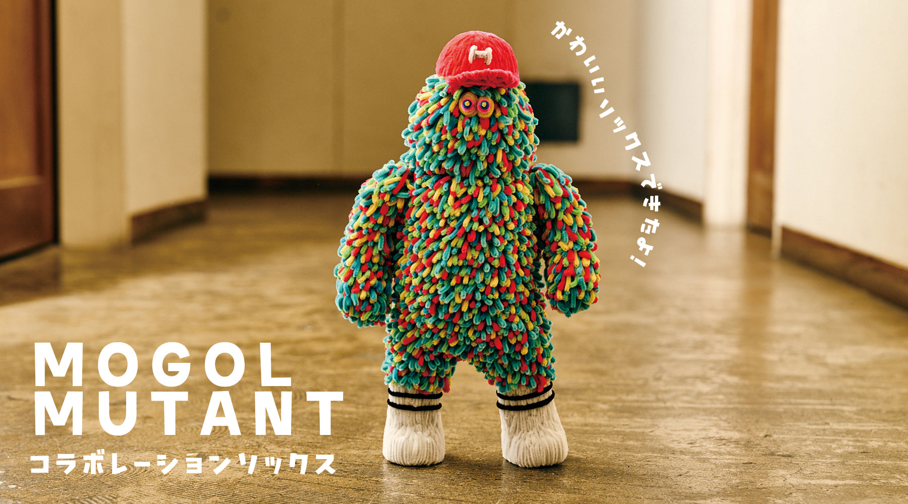 Official] HOiSUM | Online store for unique socks made in Japan